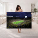 Michigan Wolverines Football Canvas Wall Decor, Football