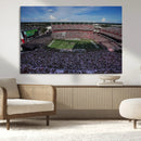 South Carolina Gamecocks Football Team Print - Columbia