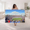 Buffalo Bills NFL Football Team Print - Buffalo Highmark