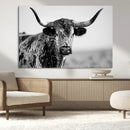 Texas Cow Longhorn Wall Art Canvas Print in Black and White