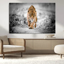 Jaguar Wall Art Canvas Print - Majestic Big Cat in Focused by MyGreatCanvas | Canvas Wall Art Prints | Photo Prints & Wall Decor