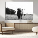 Black and White Highland Cow Wall Art Canvas Print | Rustic