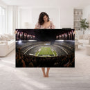 Eagles Field Stadium Wall Art - Philadelphia Eagles Football