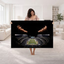 Eagles Field Stadium Wall Art | Philadelphia Eagles Football