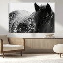 Black Horse in Snow Canvas Print | Winter Horse Wall Art |