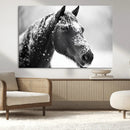 Horse Canvas Print - Winter Horse Snow Wall Art Canvas Print