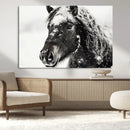 Framed Black and White Horse Wall Art | Ready to Hang and by MyGreatCanvas | Canvas Wall Art Prints | Photo Prints & Wall Decor