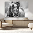 Black and White Horse Winter Wall Art | Ready to Hang and
