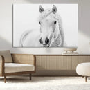Majestic White Horse Wall Art | Ready to Hang and Framed |