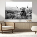 Scottish Highland Cow Wall Art | Black and White Canvas