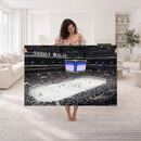 Enterprise Center Missouri St. Louis Blues Hockey Stadium