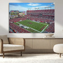 Florida Tampa Raymond James Stadium Wall Art Canvas Print -