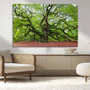 Framed Angel Oak Tree Wall Art - 3-Panel Canvas Prints,