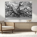 Black White Angel Oak Tree Wall Art - Timeless