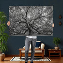 Majestic Angel Oak Tree Black and White Canvas Print – Multi by MyGreatCanvas | Canvas Wall Art Prints | Photo Prints & Wall Decor