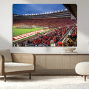 Wisconsin Badgers Football Team Print - Madison Camp Randall