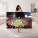University of Louisville Cardinals Football Team Print -