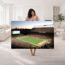 Darrell K Royal-Texas Memorial Stadium Canvas Wall Art -