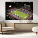 Florida Atlantic University Owls Canvas Print, Football Team by MyGreatCanvas | Canvas Wall Art Prints | Photo Prints & Wall Decor