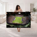 Florida Atlantic University Owls Football Team Print - Boca