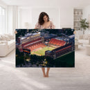 University of Illinois Fighting Illini Football Team Print -