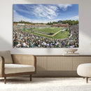 University of Charlotte 49ers Football Team Print - by MyGreatCanvas | Canvas Wall Art Prints | Photo Prints & Wall Decor