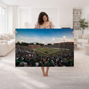 University of Charlotte 49ers Football Team Print -