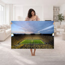 University of Michigan Wolverines Football Team Print - Ann