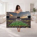 University of Michigan Wolverines Print Canvas, Football