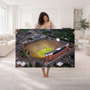 University of Michigan Wolverines Football Team Print - Ann