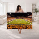 ASU Sun Devils Football Team Print - Phoenix Mountain