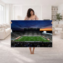 Michigan State Spartans Football Team Print - East Lansing