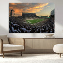 Michigan State Spartans Football Team Print - East Lansing