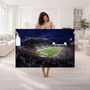 Michigan State Spartans Canvas, Framed Football Team Print -