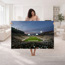 Michigan State Spartans Football Team Print - East Lansing
