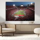 Ohio State University Buckeyes Football Team Print -