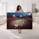 Ohio State University Buckeyes Football Team Print -