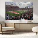 Rutgers Scarlet Knights Football Team Print - SHI Stadium, by MyGreatCanvas | Canvas Wall Art Prints | Photo Prints & Wall Decor