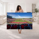 Ball State Cardinals Football Team Print - Muncie Scheumann