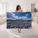 Air Force Falcons Football Team Print - Colorado Springs