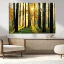 Sunlit Forest Wall Art Canvas Print – Large Framed Woodland