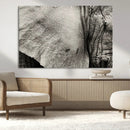 Elephant Wall Art Canvas Print