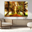 Sunshine in Forest and Trees Wall Art Canvas Print by MyGreatCanvas | Canvas Wall Art Prints | Photo Prints & Wall Decor