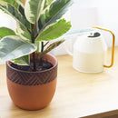 5.5 inch Clay-Black Color Modern Pot