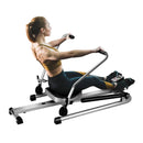 Exercise Adjustable Double Hydraulic Resistance Rowing Machine by LJGDeals