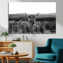Black and White Highland Cow Canvas Wall Art, Longhorn by MyGreatCanvas | Canvas Wall Art Prints | Photo Prints & Wall Decor