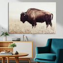 Bison in Field Wall Art Canvas Print For Farmhouse Barn