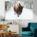Bison Wall Art Canvas Print For Farmhouse, Animal Canvas