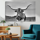 Texas Longhorn Cow Wall Art, Texas Longhorn Canvas, Cattle