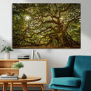 Ancient Angel Oak Tree Art Sunburst Canvas Print-